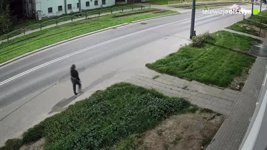 Policja szuka kobiety. W walizce znaleziono martwego psa