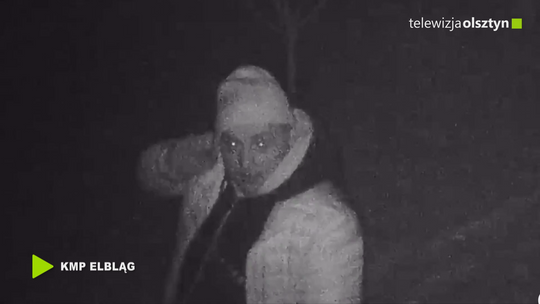 Policjanci szukają sprawców kradzieży gołębi pocztowych