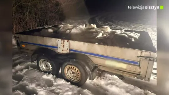 Policjanci z Dywit odzyskali skradzioną przyczepkę