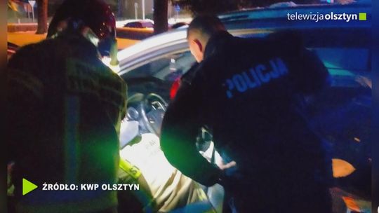 Pomyliła psa z jenotem