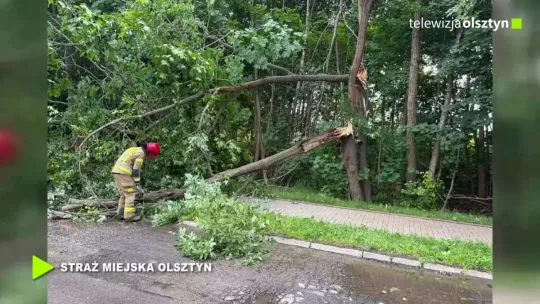 Ponad 100 interwencji strażaków po silnym wietrze