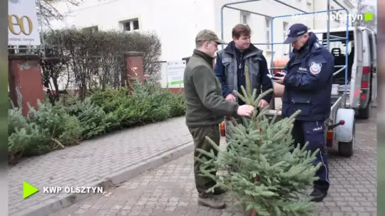 Przedświąteczna akcja Choinka