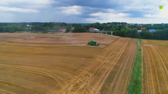 Rolnicy z niepokojem spoglądają w niebo