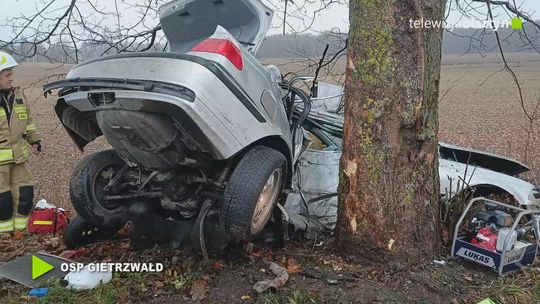 Samochód osobowy uderzył w drzewo