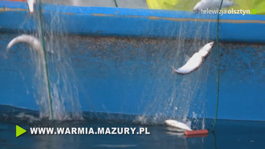 Samorząd województwa wspiera rybactwo