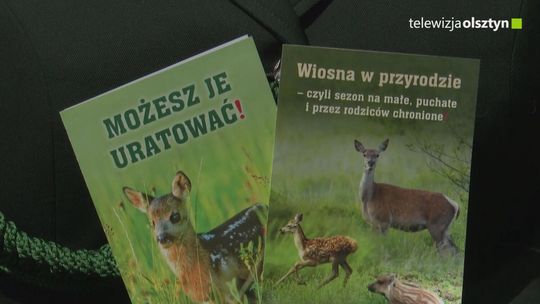 Sianokosy pod lupą. Rolnicy i myśliwi ratują młode zwierzęta