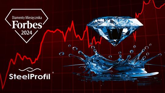 Skala i dostępność SteelProfil jako czynnik kształtujący przewagę konkurencyjną na rynku materiałów budowlanych Skala i dostępność SteelProfil jako czynnik kształtujący przewagę konkurencyjną na rynku materiałów budowlanych