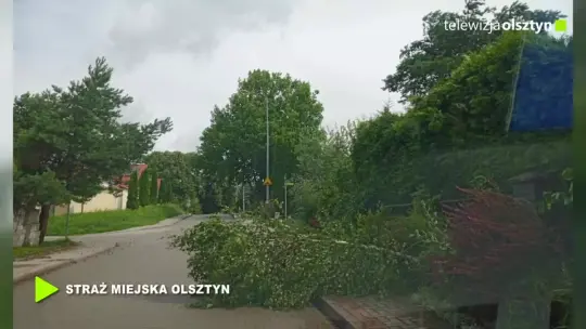 Skutki wichury w Olsztynie. Straż miejska interweniowała w wielu miejscach