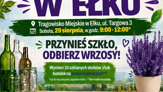 Słoiki i butelki zamienią na wrzosy. Wielka Zbiórka Szkła ponownie w Ełku