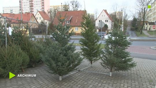 Służby miejskie rozpoczęły odbieranie choinek