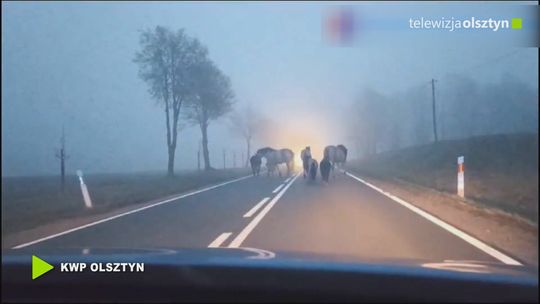 Służby ratunkowe podsumowały weekend noworoczny