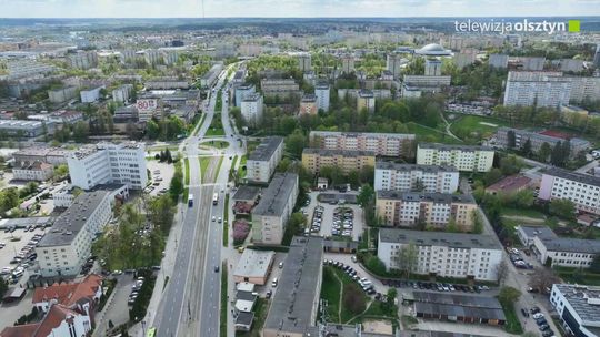 Śmierć kilkudziesięciu kotów z powodu chemikaliów na trawnikach?