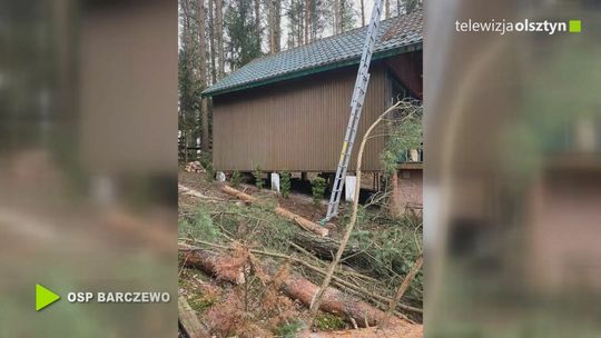 Śmiertelny wypadek podczas wycinki drzewa