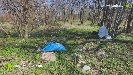 Sypią się mandaty za zaśmiecanie lasu 