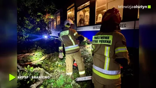 Szynobus uderzył w drzewo