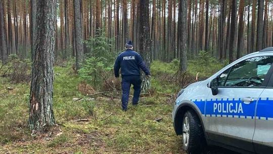 Tragedia w środku lasu. Najpierw zabił córeczkę, potem siebie [ARTYKUŁ]