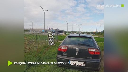 Trawnik to nie miejsce do parkowania