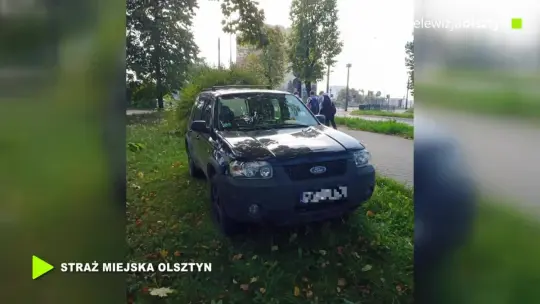 Trawnik to nie miejsce parkingowe