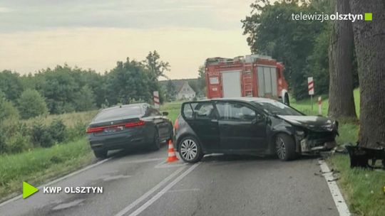 Uderzył w drzewo chcąc uniknąć zderzenia ze zwierzyną leśną