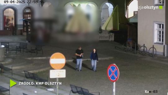 Ukradli figurkę z parku