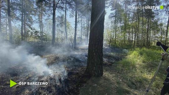 W lasach regionu jest bardzo sucho ostrzegają strażacy