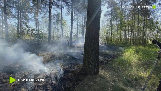 W lasach Warmii i Mazur jest bardzo sucho ostrzegają strażacy