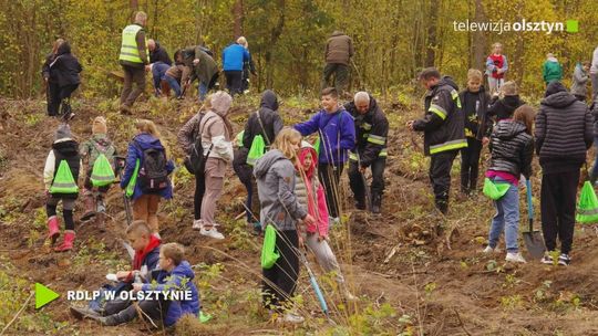 Wielkie Jesienne Sadzenie Lasu w Nadleśnictwie Wipsowo