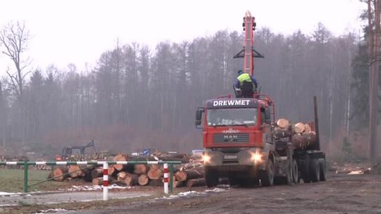 Wycinka drzew pod przyszłą obwodnicę Olsztyna