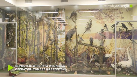 Wyjątkowa wystawa ptaków w Gutkowie