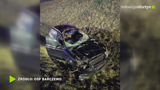 Wypadek z udziałem łosia 