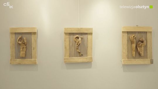 Wystawa prac Bernadety Olizarowicz-Rybickiej "Moje znaleziska" w Galerii Marszałkowskiej w Olsztynie