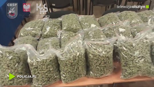 Z Hiszpanii zamiast suszonych warzyw przyjechało 39 kg marihuany