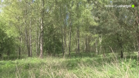 Zagrożenie pożarowe w niemal całym kraju