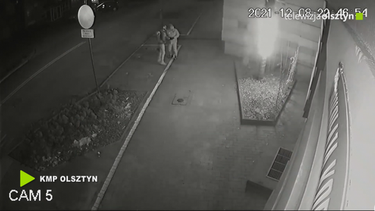 Zatrzymani w sprawie podpalenia palmy