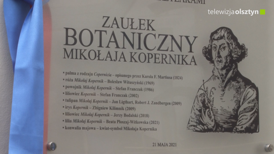 Zaułek Mikołaja Kopernika