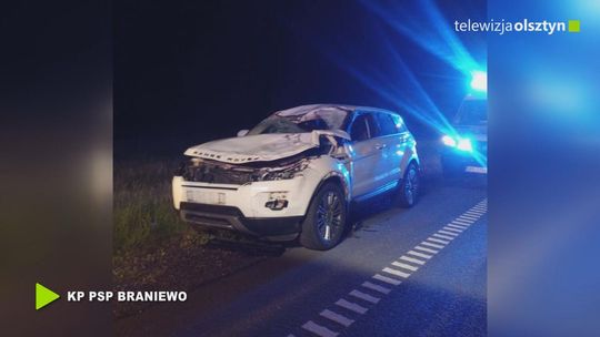 Zderzenie osobówki z łosiem na S 22