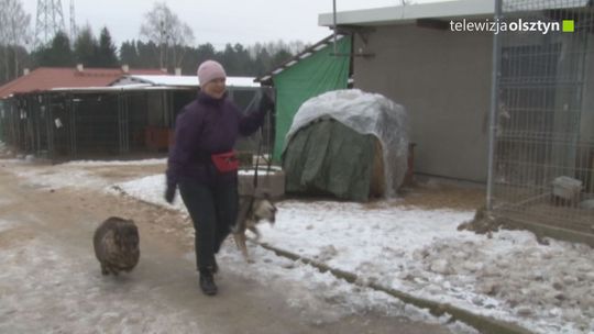 Zwierzęta już nie będą wracać do schroniska dla zwierząt?