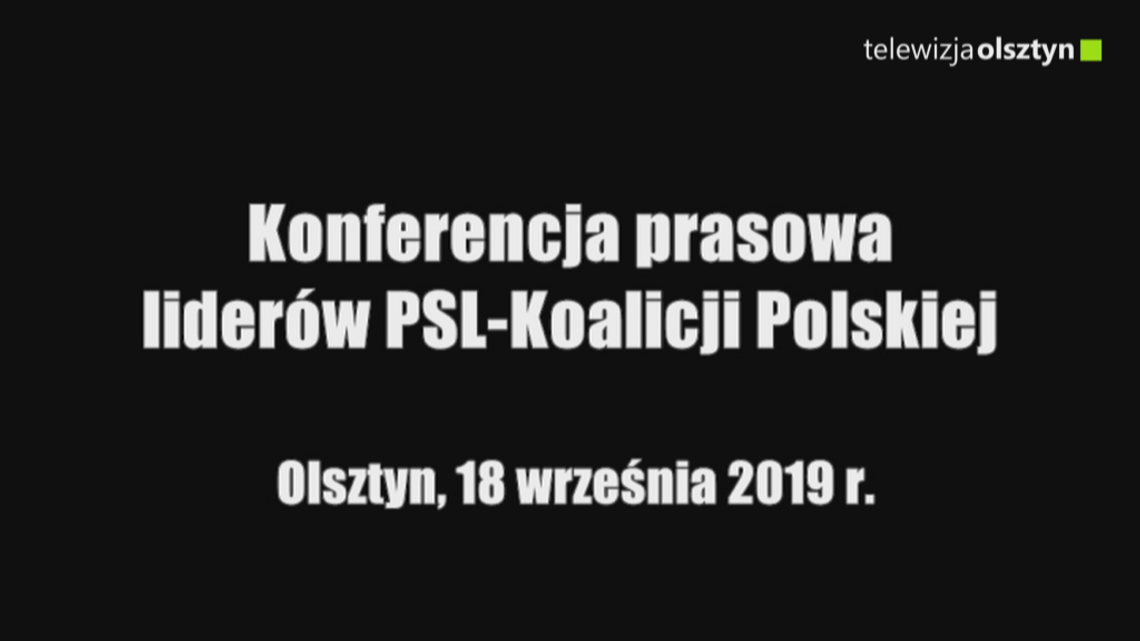 Konferencja prasowa liderów PSL-Koalicji Polskiej