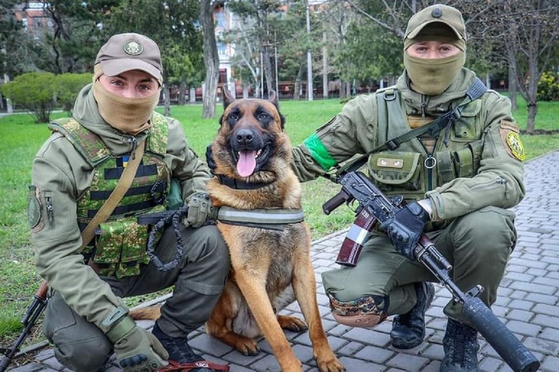 Rosjanie porzucili psa. Teraz walczy po stronie Ukrainy [ARTYKUŁ]