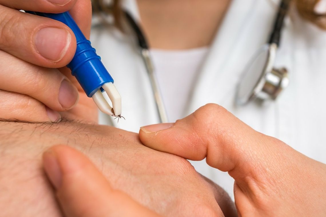 Testy przełomowej szczepionki na boreliozę. Wezmą w nich udział również Polacy [ARTYKUŁ]