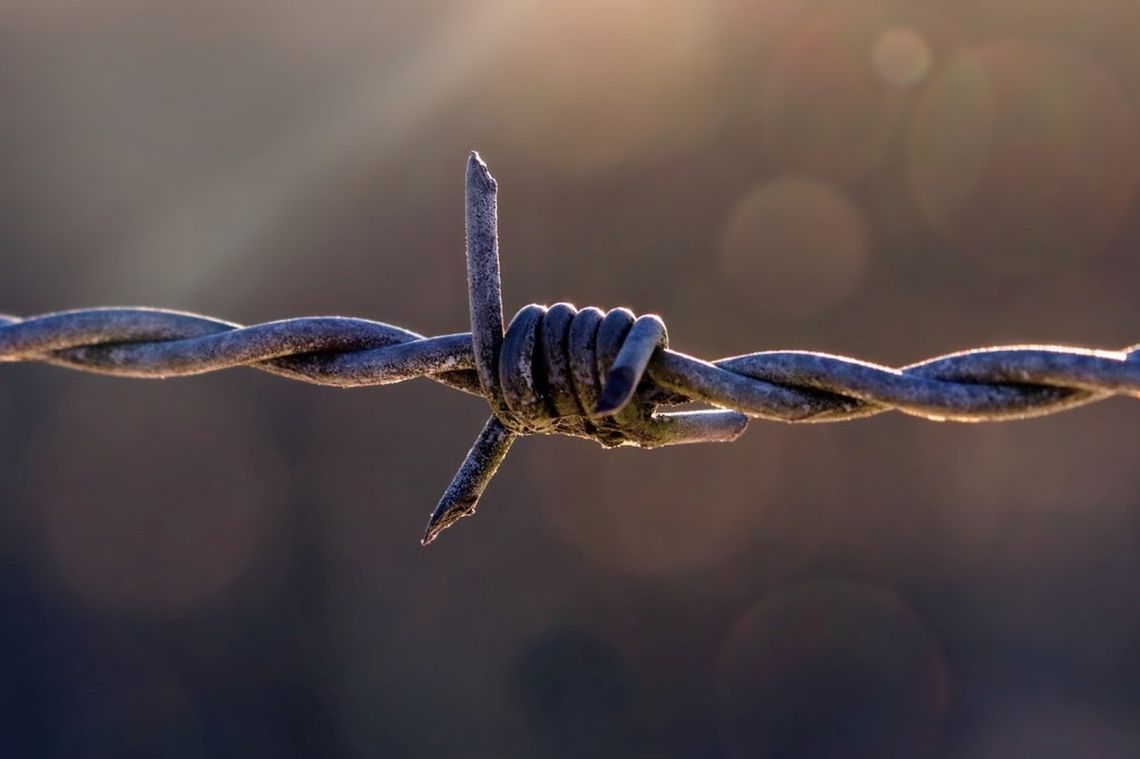 Zniszczyli płot na granicy z Białorusią. Teraz grozi im surowa kara Zniszczyli płot na granicy z Białorusią. Teraz grozi im surowa kara